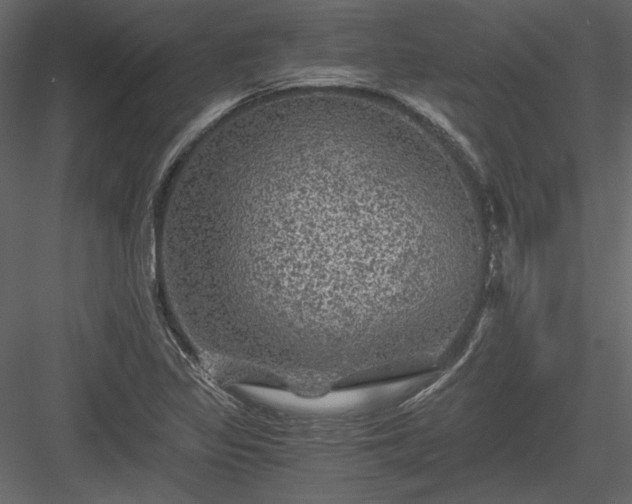 X0000084031317200702232248