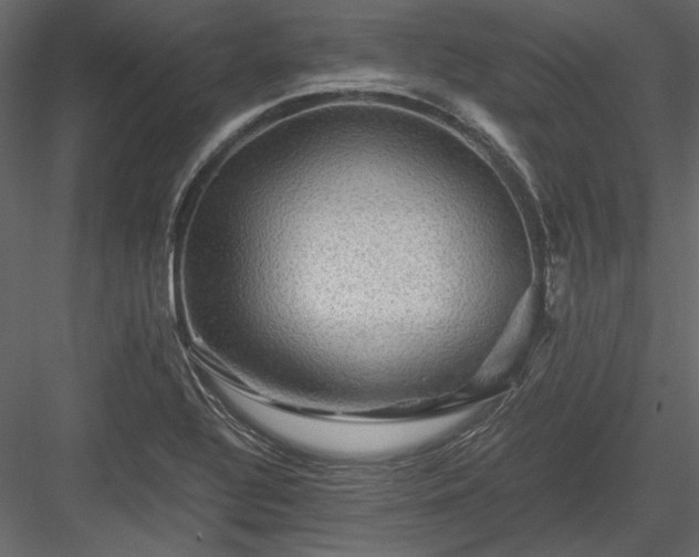 X0000084031320200702232248