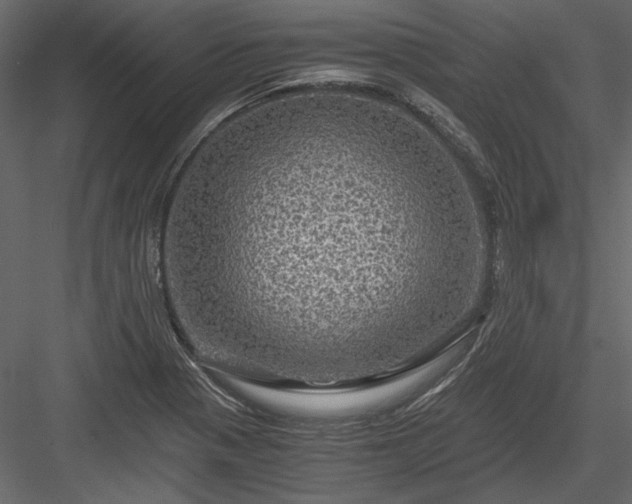 X0000084031321200702232248