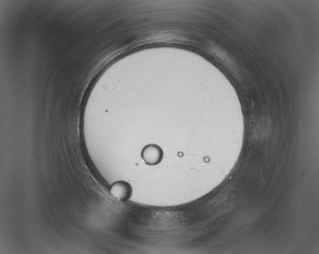 X0000084031322200702232248