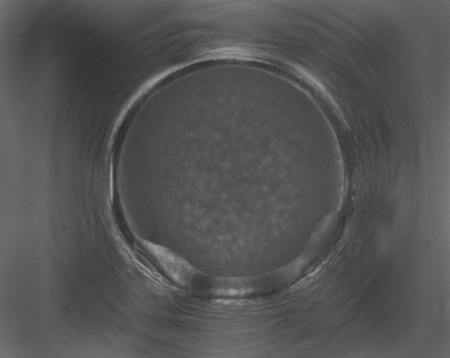 X0000084031323200702232248