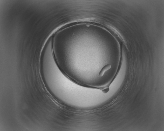 X0000084031324200702232248