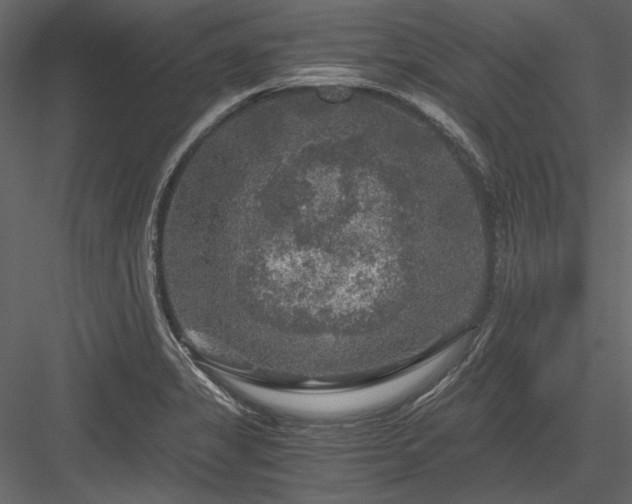 X0000084031325200702232248