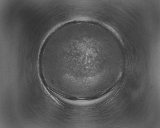 X0000084031327200702232248