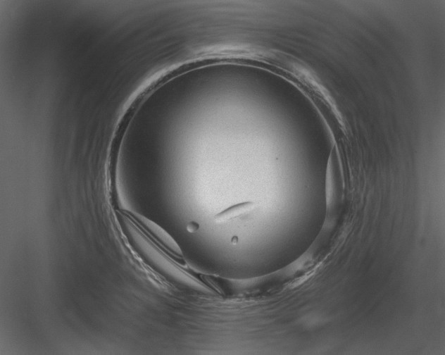 X0000084031328200702232248