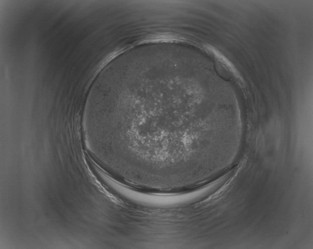 X0000084031329200702232248