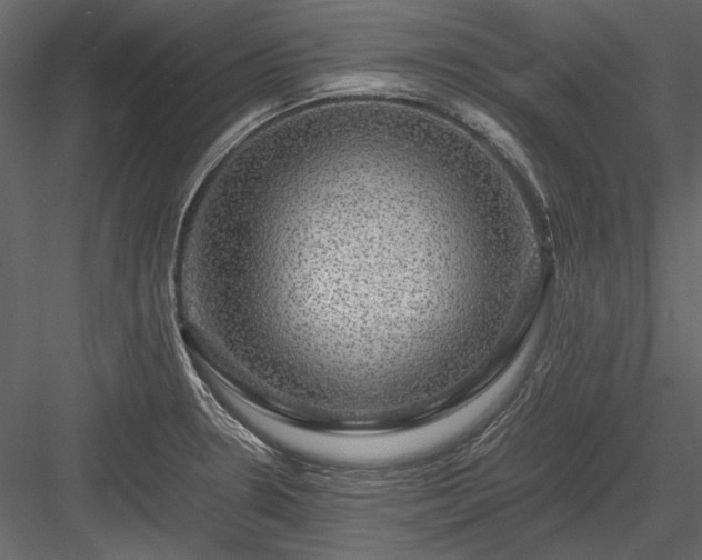 X0000084031330200702232248