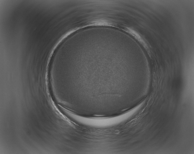 X0000084031331200702232248