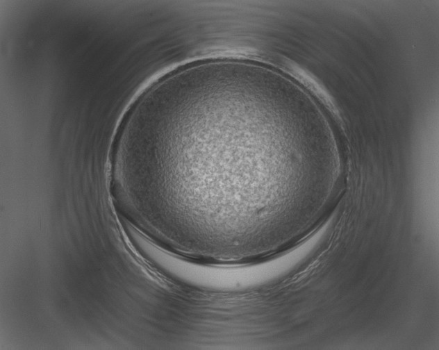 X0000084031332200702232248