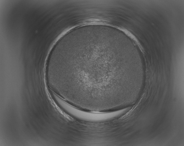 X0000084031333200702232248