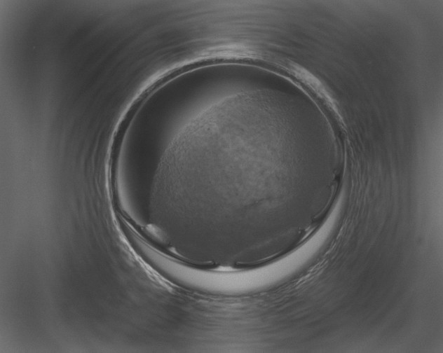 X0000084031334200702232248