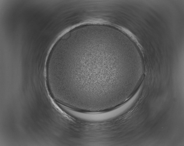 X0000084031335200702232248