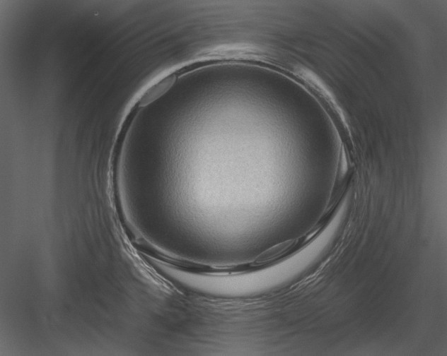 X0000084031336200702232248