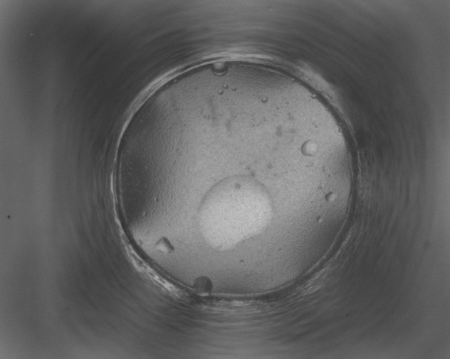 X0000084031338200702232248