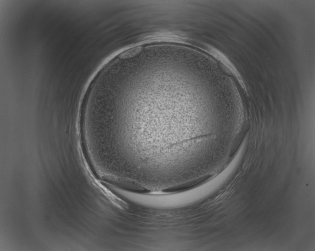 X0000084031339200702232248