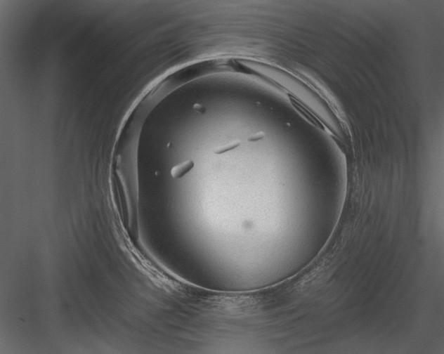 X0000084031340200702232248