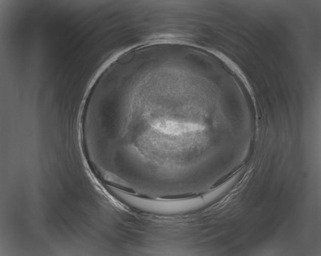 X0000084031341200702232248