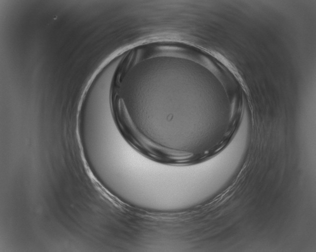 X0000084031342200702232248