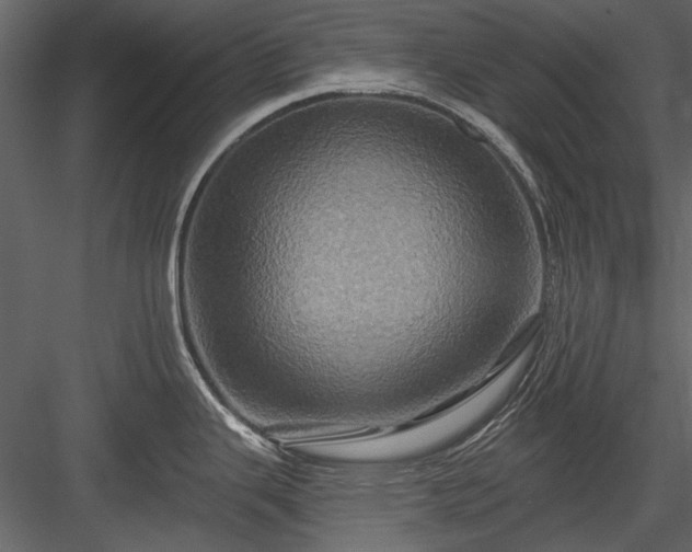 X0000084031343200702232248