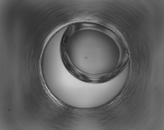 X0000084031344200702232248