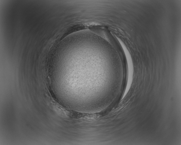 X0000084031345200702232247