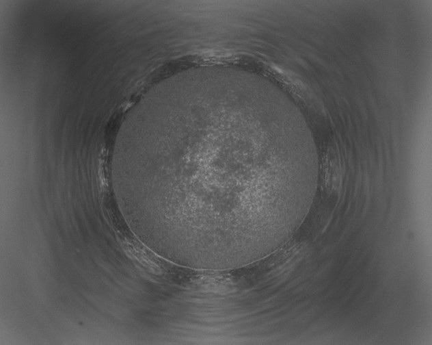 X0000084031346200702232247