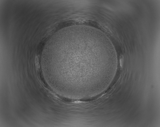 X0000084031347200702232247