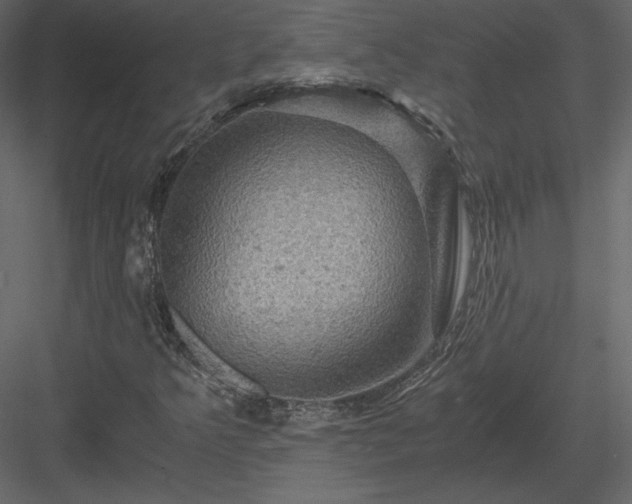 X0000084031349200702232247