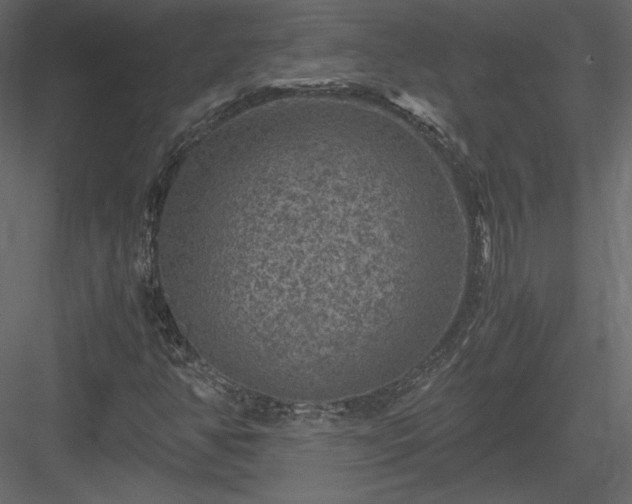 X0000084031350200702232247