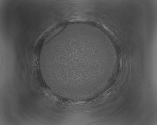 X0000084031351200702232247