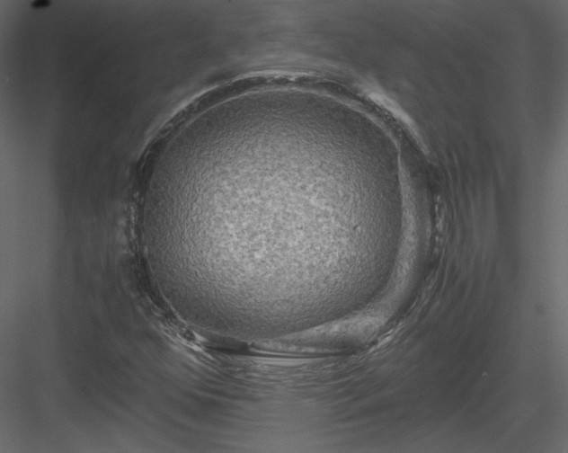 X0000084031352200702232247