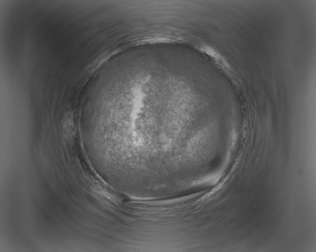 X0000084031353200702232247