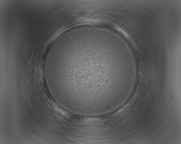 X0000084031354200702232247