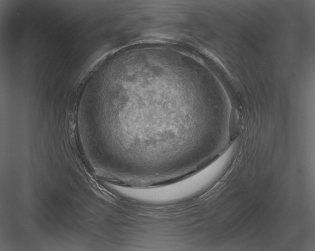 X0000084031355200702232247