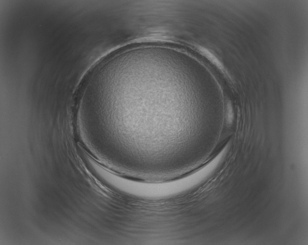 X0000084031356200702232247