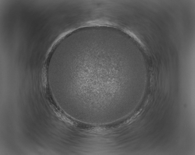 X0000084031358200702232247