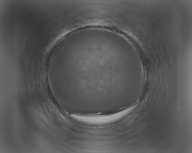 X0000084031359200702232247