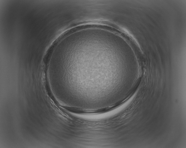 X0000084031360200702232247