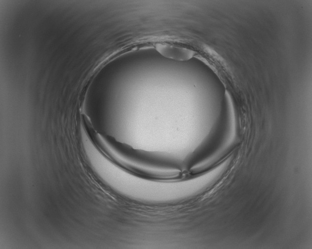 X0000084031361200702232247