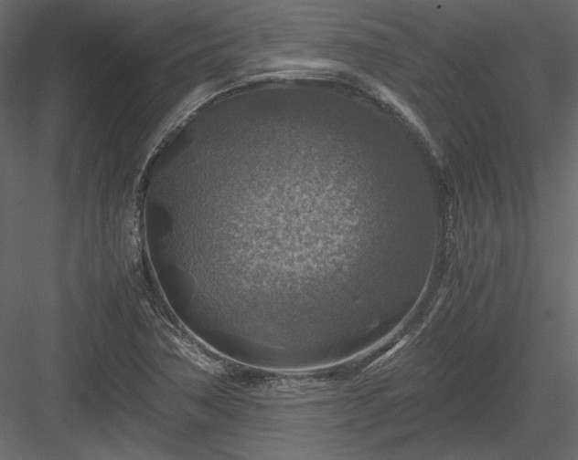 X0000084031362200702232247