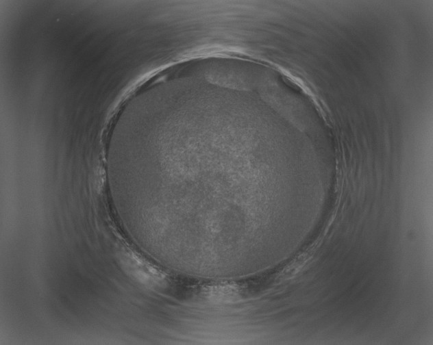 X0000084031363200702232247