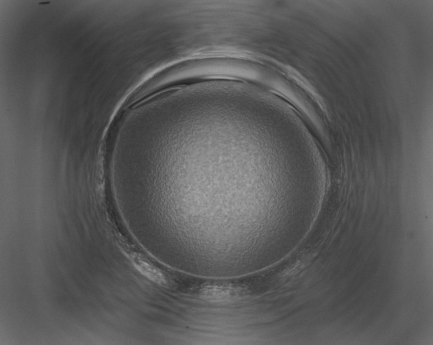 X0000084031364200702232247