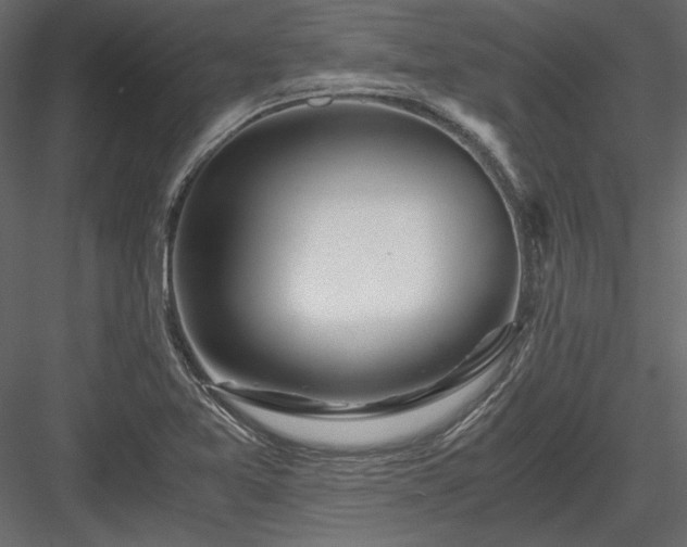 X0000084031365200702232247