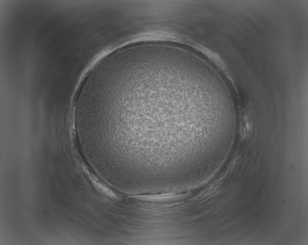 X0000084031366200702232247