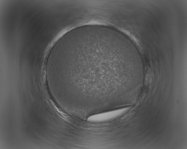 X0000084031367200702232247