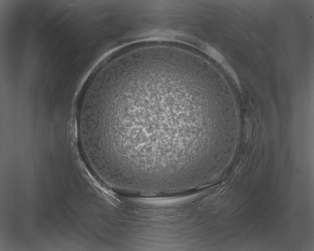 X0000084031368200702232247