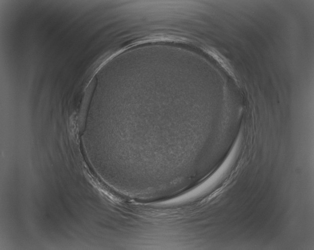 X0000084031369200702232247