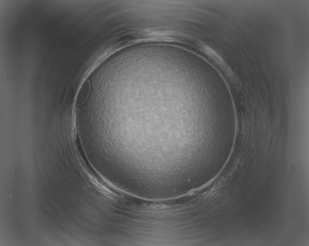 X0000084031370200702232247