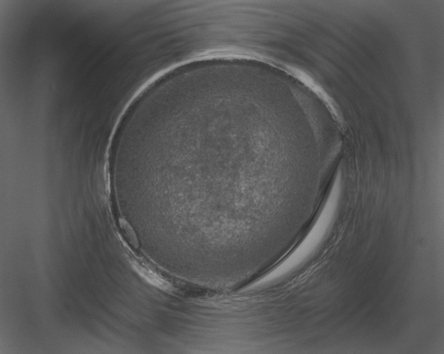 X0000084031372200702232247