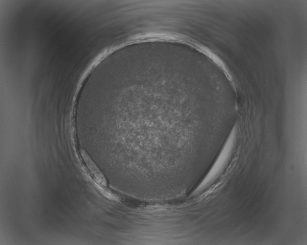 X0000084031373200702232247